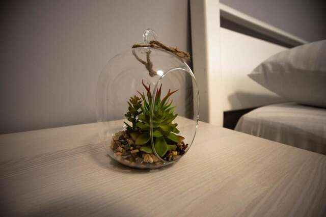 Апартаменты Lesi 3 Studio Apartment Киев-52